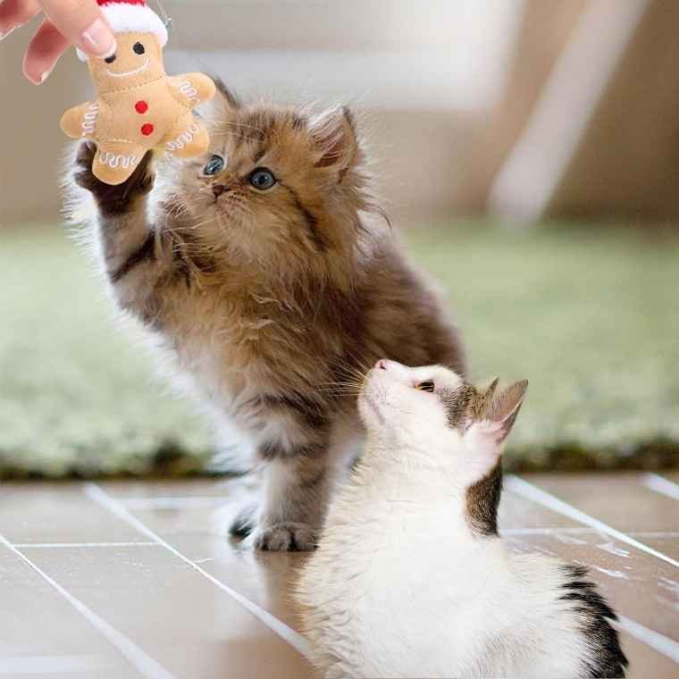 Cute Toys for Cats: The 5Pcs Cat Interactive Toy set